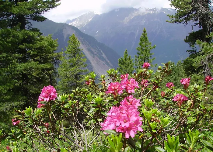 Adlerhorst 3* Sellrain