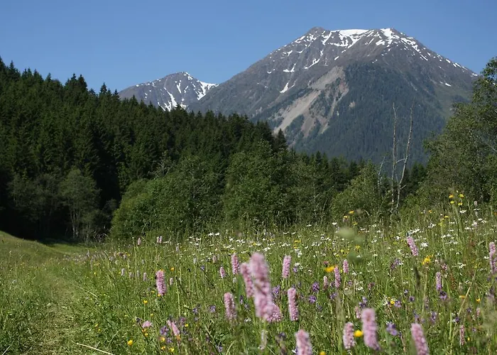 Adlerhorst Penzion 3*