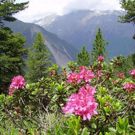 Adlerhorst 3* Sellrain