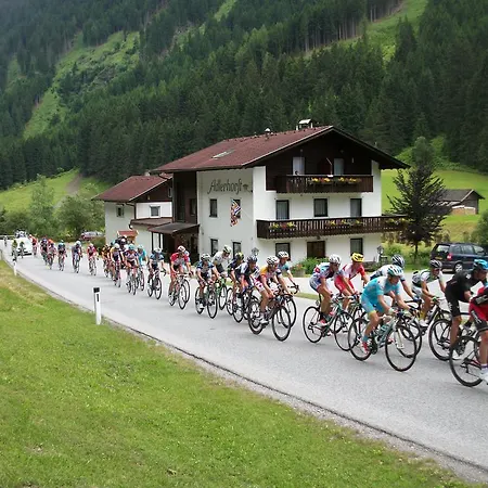 Adlerhorst Casa de hóspedes 3*